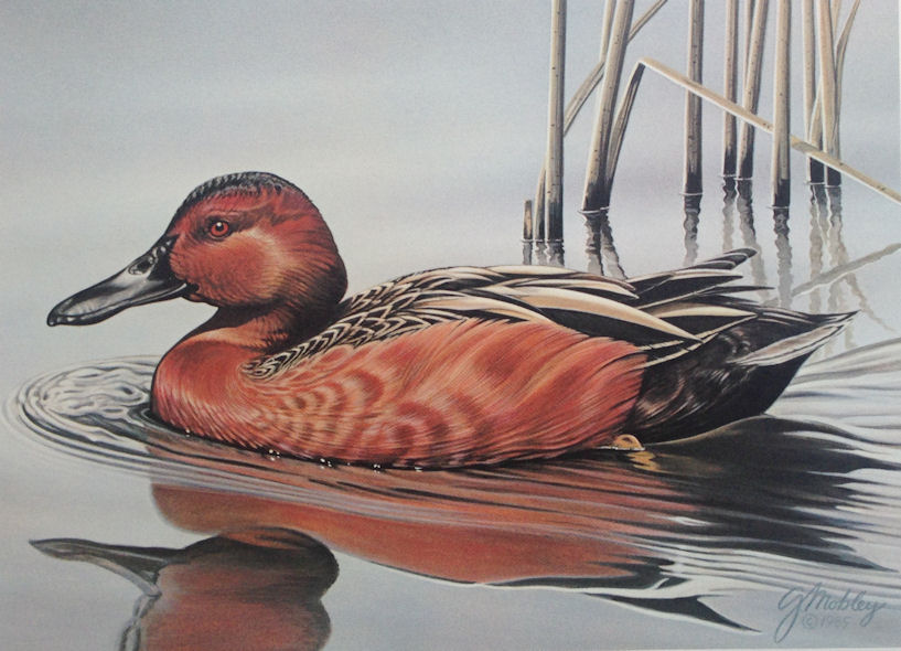 Gerald Mobley Lithograph Gold Medallion Edition Duck Wildlife Limited